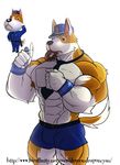  abs animal_crossing male muscles nintendo pecs solo video_games 
