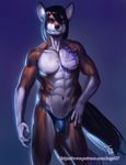  angel27 avoid_posting brown_eyes bulge canine claws clothing fox hair long_hair male mammal shiny solo spandex speedo swimsuit tattoo 