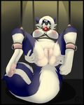  2015 anthro anus ball_gag bdsm bondage bound breasts carifoxleopard female fur gag hand_on_butt looking_at_viewer mammal nipples nude pawpads presenting presenting_pussy pussy restrained rope_bondage skunk solo spread_legs spreading striped_fur stripes suspension taki 