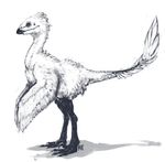  2015 ambiguous_gender claws dinosaur feathered_dinosaur feathers feral greyscale monochrome mutisija simple_background solo standing teeth toe_claws white_background wings 