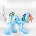  anus blush equine female friendship_is_magic horse mammal my_little_pony open_mouth pegasus pony pussy rainbow_dash_(mlp) shower smile solo tongue tongue_out veinsafterdark water wet wings 
