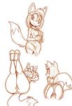  anthro bent_over breasts canine fox fur hair kayla-na legs_up mammal presenting raised_tail smile sonic_(series) sonic_boom wide_hips zooey_the_fox 