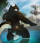  anthro bald balls butt cetacean erection fin fountain looking_back male mammal marine nude orca outside penis pool_(disambiguation) presenting presenting_hindquarters sharp_teeth smile solo stripes-the-raccoon swimming teeth thick_penis wet whale 