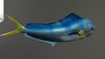  3d blender fisj gdane sea water 