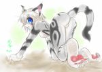  anthro ass_up blue_eyes blush breasts butt cat claws feline female fur grey_fur hair hindpaw karin kneeling mammal paws rear_view short_hair small_breasts solo striped_fur stripes whiskers white_hair young 