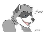  2015 colored dialogue katai male mammal open_mouth portrait raccoon 