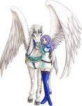  armor blue_eyes fire_emblem fire_emblem:_rekka_no_ken florina green_eyes izuka_daisuke official_art open_mouth pegasus pegasus_knight purple_hair shoulder_armor simple_background smile spaulders thighhighs white_background wings zettai_ryouiki 