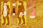  2015 4_toes animal_genitalia anthro barefoot brown_fur brown_hair butt canine canine_penis disembodied_penis dog english_text erection fur hair happy hindpaw husky looking_at_viewer male mammal model_sheet multiple_angles nipples nude pawpads paws penis pink_penis simple_background siriuswolfus smile soles solo star tan_fur text toes vein veiny_penis wolf 