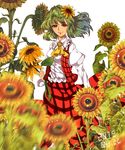  ascot blurry collar collared_shirt dated depth_of_field flower frilled_shirt frilled_shirt_collar frills green_hair hair_flower hair_ornament highres holding holding_flower kazami_yuuka light_particles long_skirt long_sleeves looking_at_viewer open_clothes open_vest plaid plaid_skirt plaid_vest puffy_long_sleeves puffy_sleeves red_eyes red_skirt shiny shiny_hair shirt short_hair simple_background skirt smile solo standing sunflower third-party_edit touhou unfinished vest white_background wind yayoi_(su_misheng) 