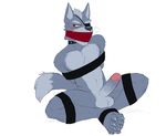  anthro balls blush bound canine collar erection eye_patch eyewear fur gag gagged hicanyoumooforme humanoid_penis male mammal nintendo penis red_eyes simple_background sitting solo star_fox video_games white_background wolf wolf_o&#039;donnell 