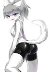  1girl anthro artist_request ass big_butt blue_eyes blush butt cat clothing copyright_request feline fur furry grey_hair hair ksyaro looking_at_viewer mammal open_mouth ponytail short_hair short_pants shorts simple_background smile solo vest white_fur 
