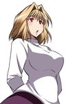  arcueid_brunestud arms_behind_back blonde_hair blush breasts hair_intakes large_breasts long_skirt purple_skirt red_eyes short_hair skirt solo sweater tsukihime turtleneck urako 