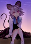  animal_ears capelet grey_hair highres ishikkoro long_sleeves looking_at_viewer mouse_ears mouse_tail nazrin pink_eyes shirt sitting solo tail touhou 