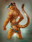  2015 anthro bulge cheetah cheetahpaws clothing feline green_eyes hat jockstrap male mammal smirk solo spots underwear water wet 