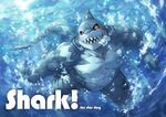  fish male marine shark 五色 