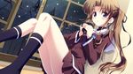  blue_eyes brown_hair cup ef end_card hayama_mizuki kusukusu legs mug school_uniform side_ponytail skirt socks solo window 