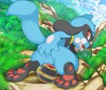  all_fours anal anal_fingering anthro backsack balls bone butt convenient_censorship fingering lewdango looking_back male nintendo nude open_mouth pok&eacute;ball pok&eacute;mon pok&eacute;mon_(species) rear_view riolu solo tricksta video_games 