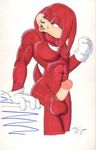  balls clothing gloves knuckles_the_echidna male marc_leonhardt penis purple_eyes solo sonic_(series) 