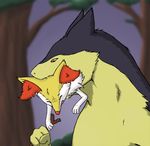  2014 ambiguous_gender black_fur braixen canine drooling duo eyes_closed feral fur inner_ear_fluff looking_down mammal nintendo open_mouth outside pok&eacute;mon red_eyes red_fur red_nose rorix saliva size_difference stick teeth tree typhlosion video_games vore white_fur yellow_fyr 