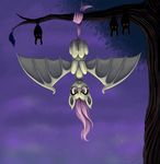  bat bat_pony female feral flutterbat_(mlp) fluttershy_(mlp) friendship_is_magic group laurenmagpie mammal my_little_pony tree upside_down wings 