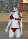  angry_cat anthro beach breasts cat feline flashing lassie mammal nipples nude seaside smile 