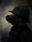  black_nose canine dog french gritty helmet littlenapoleon long_ears mammal portrait soldier world_war_1 