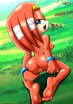  anus barefoot bbmbbf breasts butt echidna erect_nipples exhibitionism female grassland hairband hill inviting mammal mobius_unleashed monotreme nipples palcomix palcomix_vip public pussy sonic_(series) spread_pussy spreading tikal_the_echidna wristband 