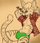  bulge cat cheshire_thaddeus_felonious clothing diasuke77 feline hawaiian_shirt male mammal solo speedo swimsuit 