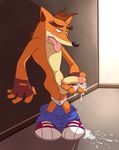  anthro balls bandicoot blush crash_bandicoot crash_bandicoot_(series) cum cum_on_ground cum_on_hand humanoid_penis male mammal marsupial masturbation penis solo thegreatmatsutzu tongue tongue_out video_games 