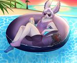  2015 bad_dragon beach canine chest_tuft clothing drink eyewear fennec fox fur girly green_eyes grey_fur hair inner_tube keilet male mammal neck_tuft one-piece_swimsuit plantigrade reclining relaxing sea seaside smile solo sunglasses sunset sweetpupperoo swimsuit tuft water 