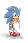  avian bird blush clothing feral footwear fur hedgehog hybrid legwear male mammal nude quills shoes socks soina solo sonic_(series) sonic_dreams_collection sonic_the_hedgehog standing what what_has_science_done worm 