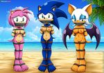  amy_rose bat bbmbbf beach bound breasts coconut_tree crossgender erect_nipples exhibitionism female gag gagged hairband hedgehog mammal mobius_unleashed nipples palcomix public pussy rope rouge_the_bat sand sea seaside sonic_(series) sonic_the_hedgehog water wings 