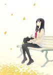  autumn bag bangs black_hair black_legwear blue_eyes blush book ginkgo_leaf hair_between_eyes highres leaf loafers long_hair long_sleeves looking_up murakami_suigun original pantyhose pleated_skirt school_uniform serafuku shoes sitting skirt smile solo sweater 