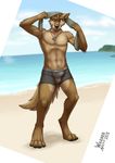  abs anthro armpits barefoot beach boxers_(clothing) bulge canine claws clothing dog_tags english_text fur hi_res looking_away male mammal muscles navel one_eye_closed outside pecs public raised_arm seaside solo standing text toe_claws towel underwear wagnermutt wolf 