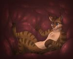  anthro feline luchs lynx male mammal vore vorelord 