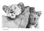  1979 ambiguous_gender by-sa creative_commons cub feline feral greyscale group hi_res license_info lion mammal monochrome peggy_adler pencil_(artwork) simple_background traditional_media_(artwork) white_background white_border young 