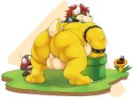 2024 anthro backsack balls barazoku bent_over big_balls blush bowser butt collar exhibitionism eyebrows genitals goomba group hi_res koopa leaning leaning_forward looking_at_viewer looking_back looking_back_at_viewer male mario_bros muscular muscular_anthro muscular_male muscular_thighs nintendo perineum presenting presenting_hindquarters rear_view scalie size_difference skaifox solo_focus spiked_collar spikes talking_flower_(super_mario_bros_wonder) thick_eyebrows trio warp_pipe