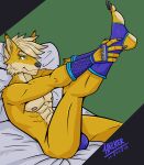 abs anthro bed_sheet bedding blonde_hair bulge canid canine canis claws clothed clothing dingo fingerless_gloves footwear fur gloves green_eyes hair handwear hazker hi_res male mammal nipples partially_clothed raised_leg simple_background socks solo underwear yellow_body yellow_fur