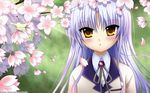  angel_beats! cherry_blossoms flowers tachibana_kanade tenshi 