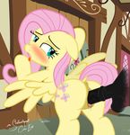  2015 an-tonio animal_genitalia anus balls blush butt clitoral_winking clitoris cutie_mark disembodied_penis dock duo equine equine_pussy female feral fluttershy_(mlp) friendship_is_magic hair half-closed_eyes horsecock male male/female mammal my_little_pony outside pegasus penetration penis pink_hair pussy pussy_juice sex shutterflyeqd solo_focus tongue tongue_out vaginal vaginal_penetration wings 