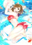  1girl animal_ears ass ball bikini brown_eyes brown_hair cat_ears cat_tail commentary_request idolmaster idolmaster_cinderella_girls lying maekawa_miku on_side open_mouth red_bikini short_hair smile solo swimsuit tail water 