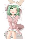  animal_ears dress drying drying_hair green_eyes green_hair heart kasodani_kyouko long_sleeves natsu_no_koucha one_eye_closed open_mouth out_of_frame pink_dress pov pov_hands smile solo_focus tail touhou towel towel_on_head v_arms 