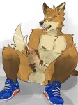  anthro balls butt canine clothing colored cum erection footwear fox fur khoryall male mammal nude penis shoes simple_background smile solo 