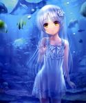  absurdres against_glass angel_beats! coral dress fish goto_p hair_ornament highres long_hair parted_lips pisces see-through silver_hair solo stingray sundress tenshi_(angel_beats!) underwater yellow_eyes 