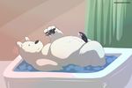  bath bear cum erection ice_bear male mammal overweight penis polar_bear solo ursofofinho we_bare_bears 