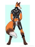  2015 balls butt canine collar fox fur hair looking_at_viewer male mammal rubber simple_background smile solo thewhitefalcon 