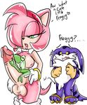  &lt;3 amphibian amy_rose balls big_the_cat breasts clothing dickgirl footwear frog froggy gloves green_eyes intersex penis perverted_bunny shoes sonic_(series) yellow_eyes 