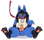  after_orgasm animal_genitalia anthro balls canine canine_penis collar cum cum_on_face cum_on_own_face cum_on_self digital_media_(artwork) erection front_view knot leash licking licking_lips looking_down lucario male mammal nintendo nsfwolff nude pawpads penis pok&eacute;mon sheath sitting solo spread_legs spreading tongue tongue_out unseen_character video_games 