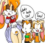  clothing cream_the_rabbit dress female gloves humor marine_the_raccoon perverted_bunny pussy sonic_(series) vanilla_the_rabbit 