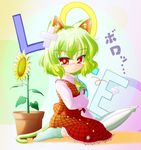  animal_ears ascot bad_id bad_pixiv_id blush cat_ears cat_tail closed_umbrella crossed_bandaids flower flower_pot green_hair green_legwear highres kazami_yuuka kemonomimi_mode plaid plaid_skirt plaid_vest plant potted_plant red_eyes short_hair sitting skirt skirt_set socks solo sunflower tail tears touhou umbrella usonge vest wariza 